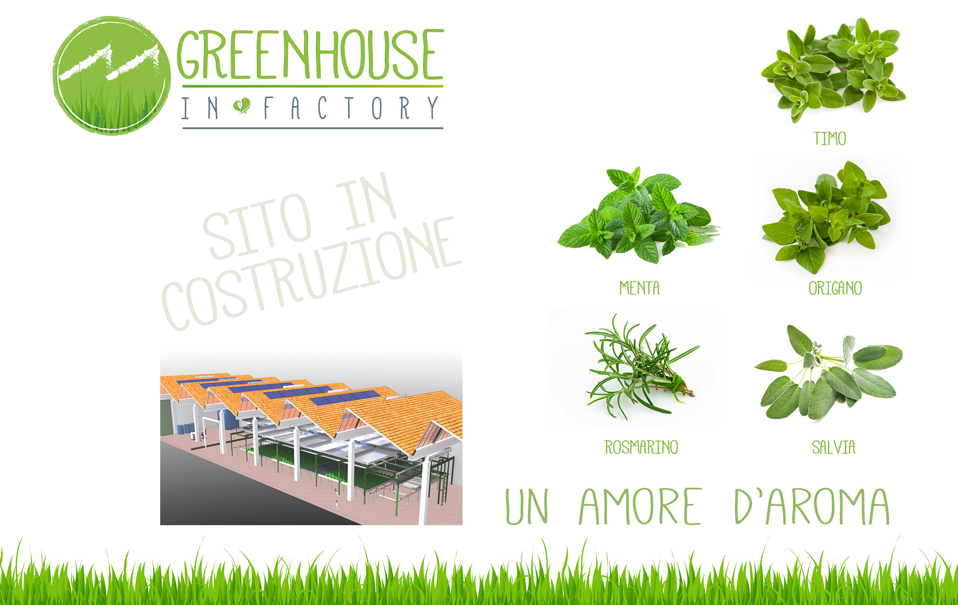 Greenhouse in Factory - Società Agricola Boscaro - Vigliano Biellese (Biella)